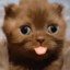 ✪Dwaynegerous