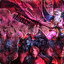 Kuromoria