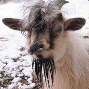 Kelmik - steam id 76561197967313889