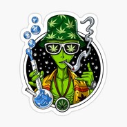 Mr.moño
