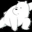 Ice Bear