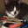 D. Steam avatar