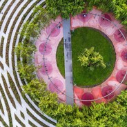 忘不掉她的蝴蝶