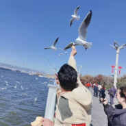 风吹屁屁好凉爽