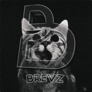 Brevz - steam id 76561197961862655