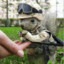 Agent Squirrel