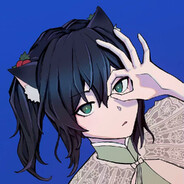 霍莉霍莉霍莉猫