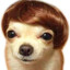 Doncosmundo