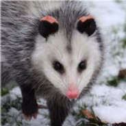 heavymedic sloppy kissing