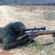 Sniper Monkey