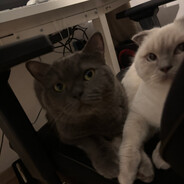 o küfrü duydum bu arada