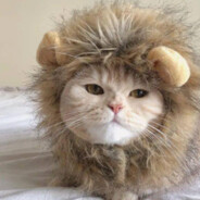 星辰辰辰辰辰辰