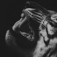 tigr. avatar