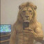жрун (говна)'s avatar