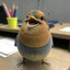 Duckyshine7