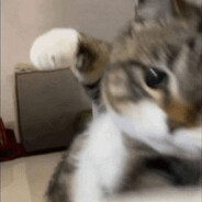 aggressive child
