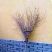 来自北方的张叔叔