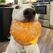 dog with cheeseburger