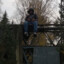 wallu