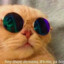 Mr. Lucky