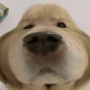 仿生丁真会梦见电子烟