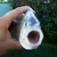 Killer Fish