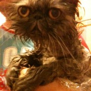 Джони Пивосос