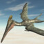 pterodaktyl2332