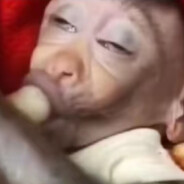 快猫俱乐部会长“吗喽