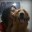 Tiagin