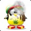 StonerPenguin420