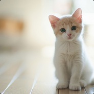 dmelqy