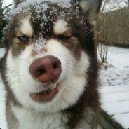 见朕骑妓的时刻