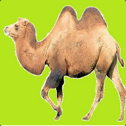 antikamel
