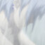 sner