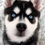 春风十里不如睡你