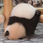 PandaMan