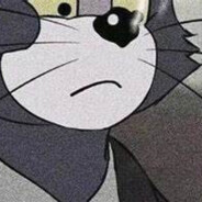 白小鸭与丑天鹅