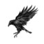 BlackMoonWolf