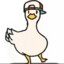 Cool_duck