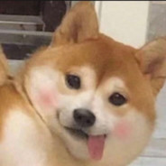 给你看看我的大宝贝