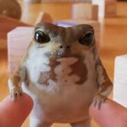 ZEBRAMENTALITY - steam id 76561199436811558