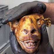 Meat El Fuego Steam avatar