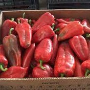 Ionut 10kg de gogosari