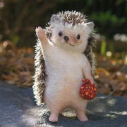 广东宏远总冠军