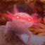Baptystyk