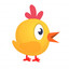 Chikky nugs