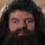 MadHagrid