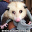 Opossum