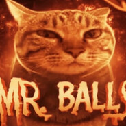 Mr. Balls avatar